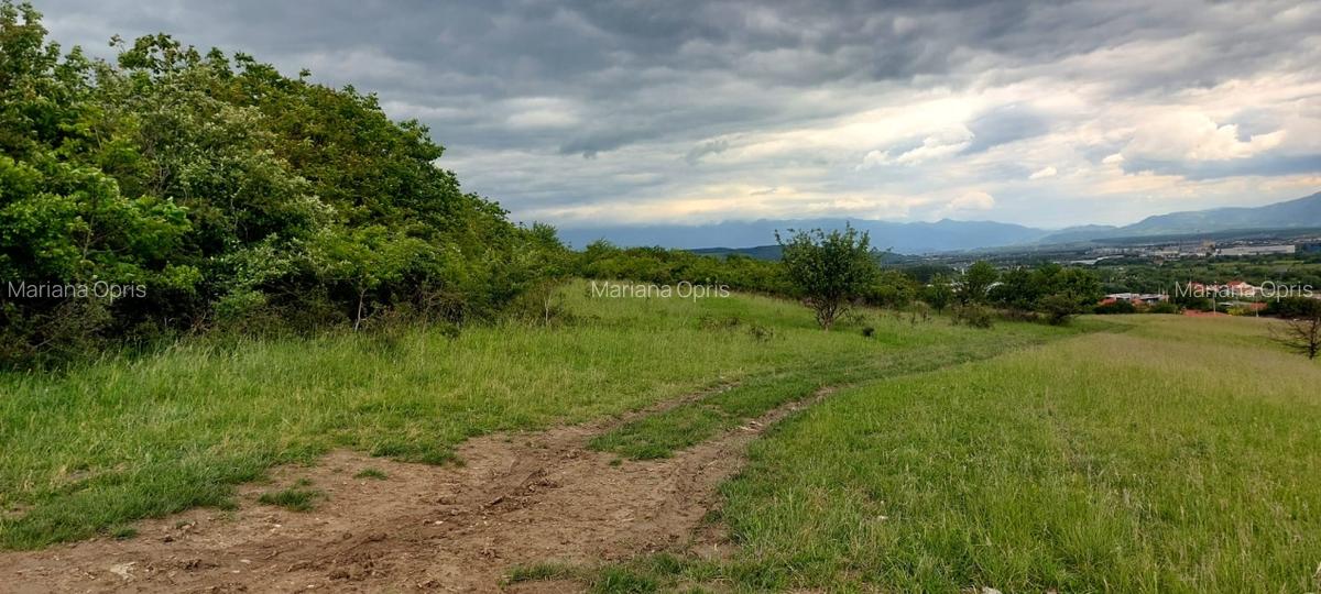 Teren Intravilan 6500mp, spre vanzare in Gusterita - 3