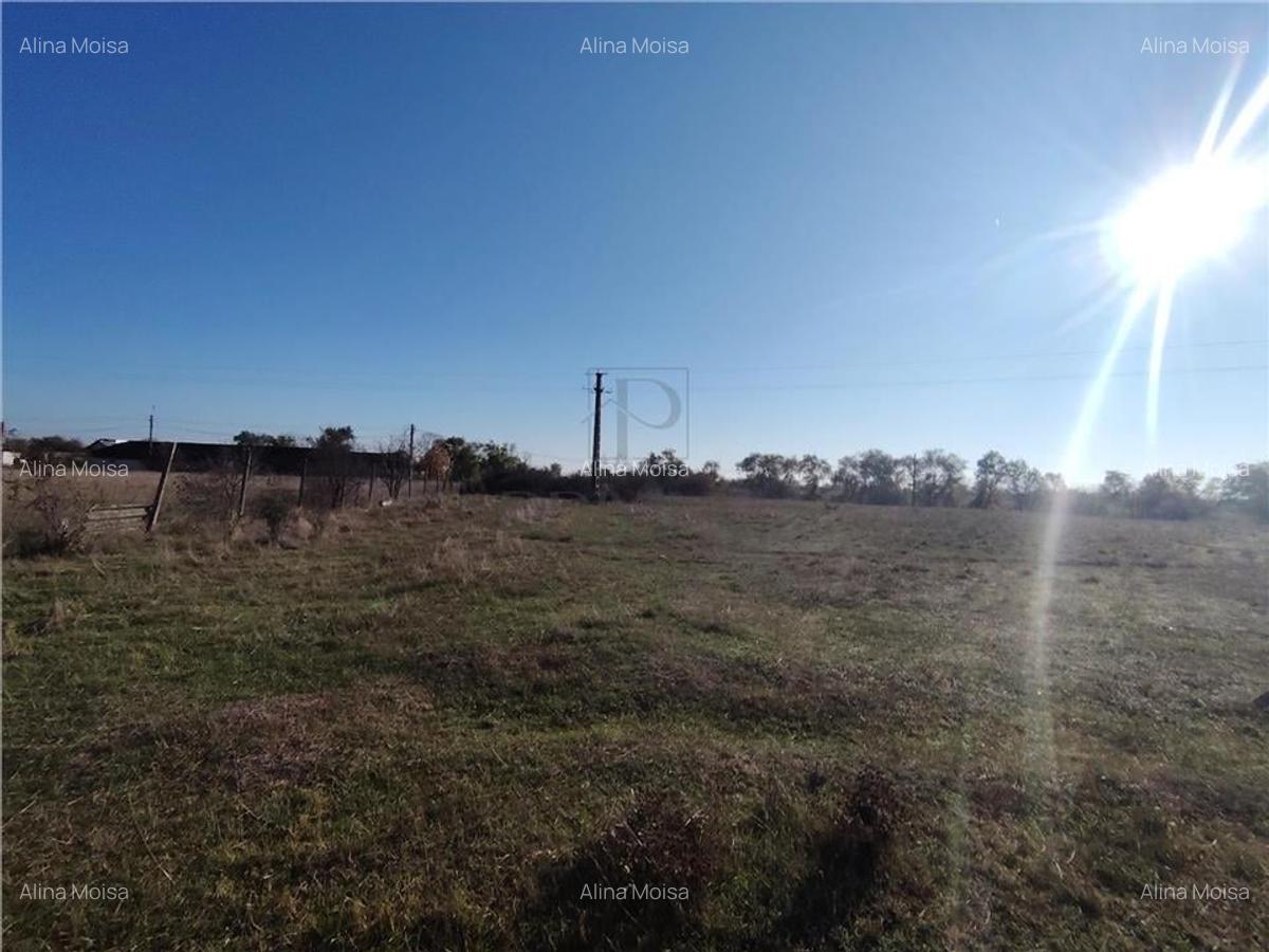 Teren de vanzare - 8027 mp - 1