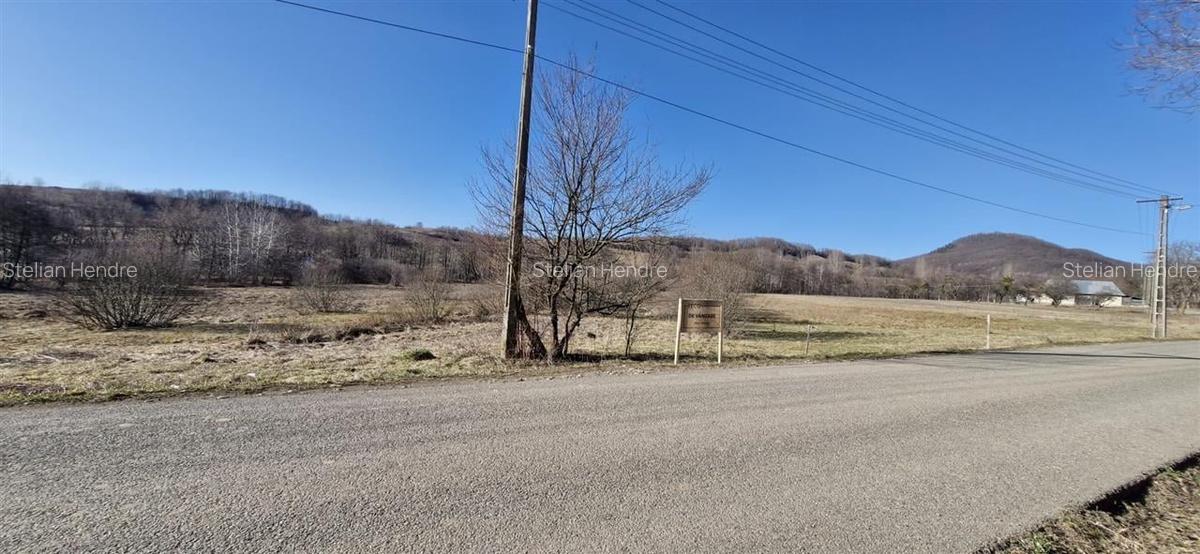 Teren Construcții intravilan de 3893 mp, în Borod - 3