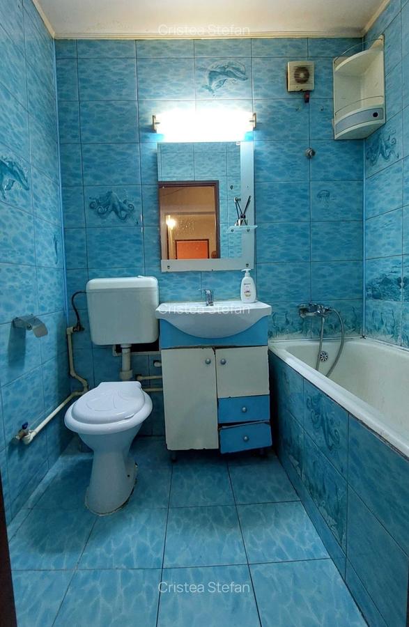 Vanzare apartament 2 camere Ozana - 5