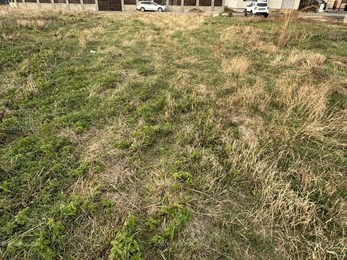 Teren Intravilan Dudestii Noi 646mp,Fs 20m,Utilitatile In Fata Parcelei,Asflat - 3