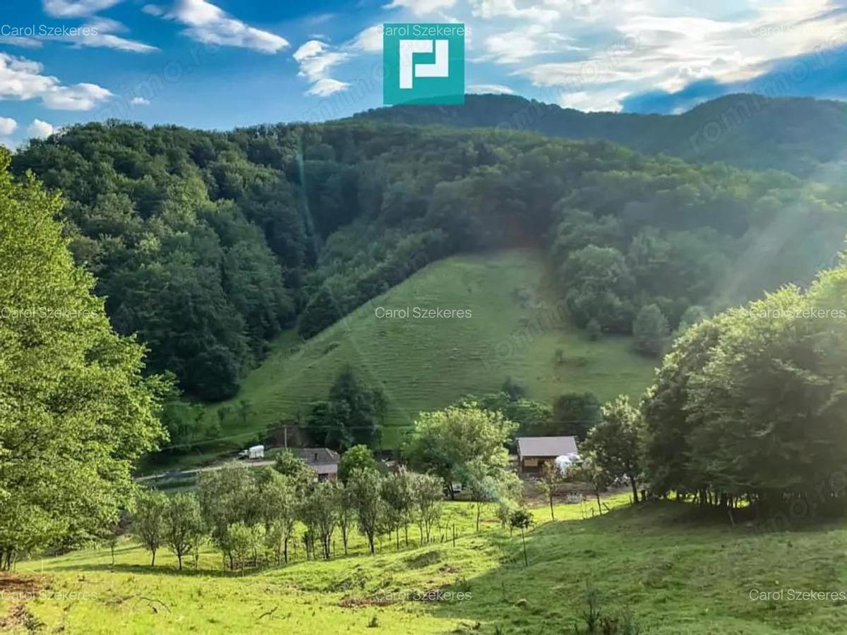 Teren pentru investi?ii in Luncoiu de Jos - 5