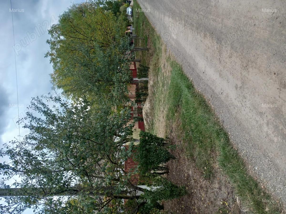 Vand casa sat Ivanda comuna Giulvaz Proprietar - 9 Vand casa sat Ivanda comuna Giulvaz Proprietar - 9