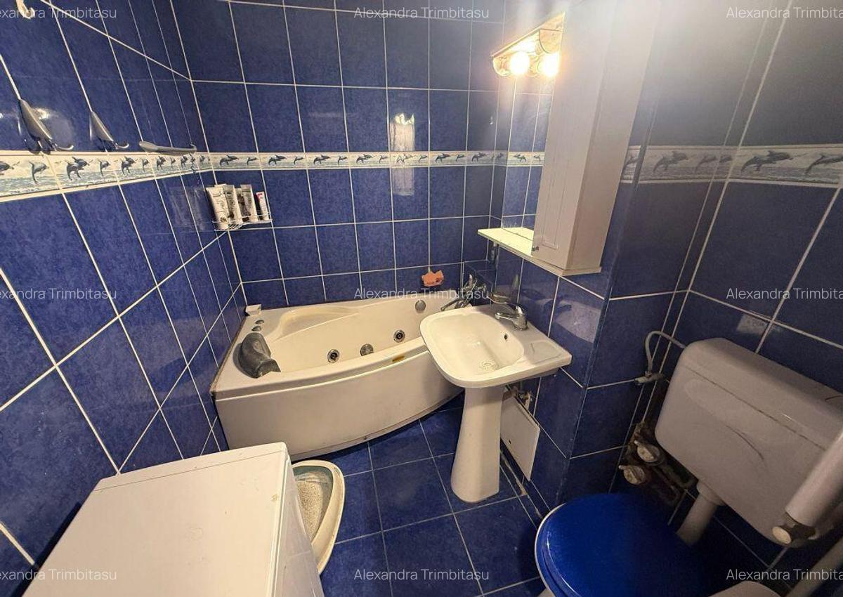 Apartament 3 camere Lacul Tei Teiul Doamnei - 10