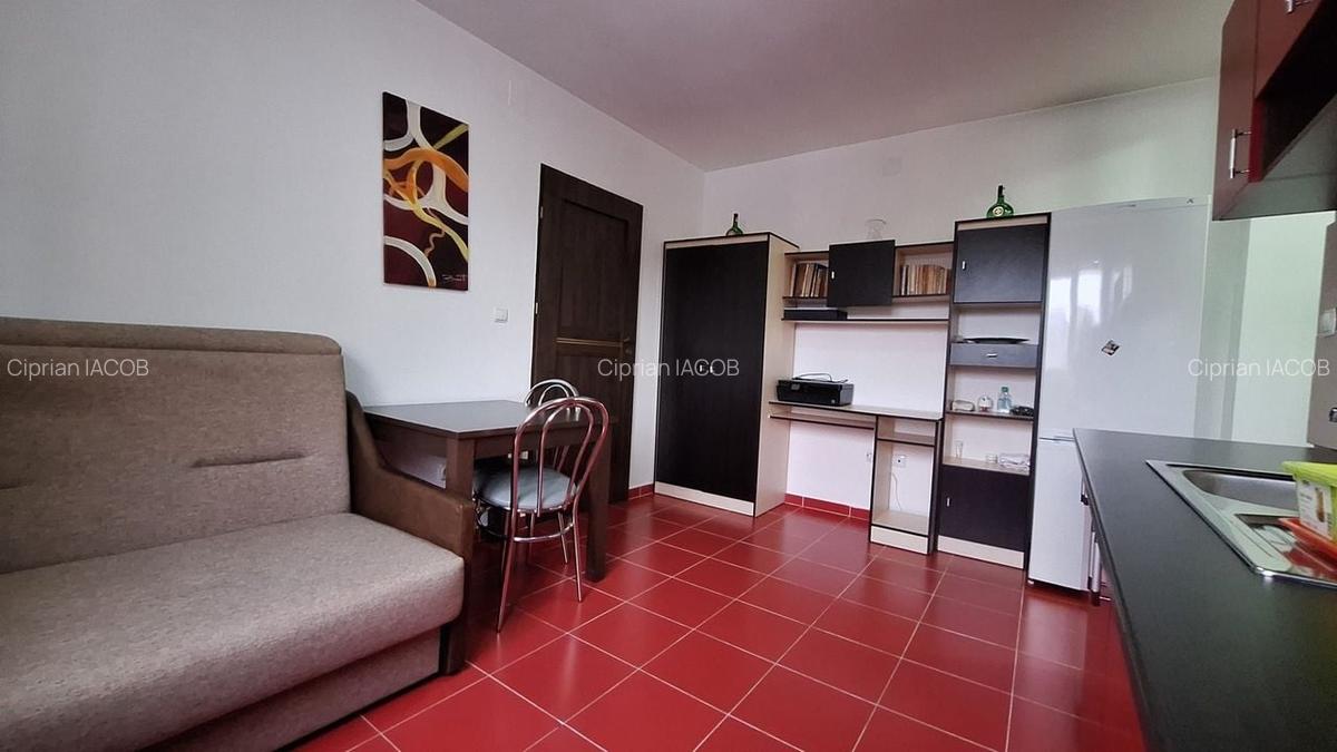 Apartament 1 cameră spațios, Gheorgheni, str Albac - 4