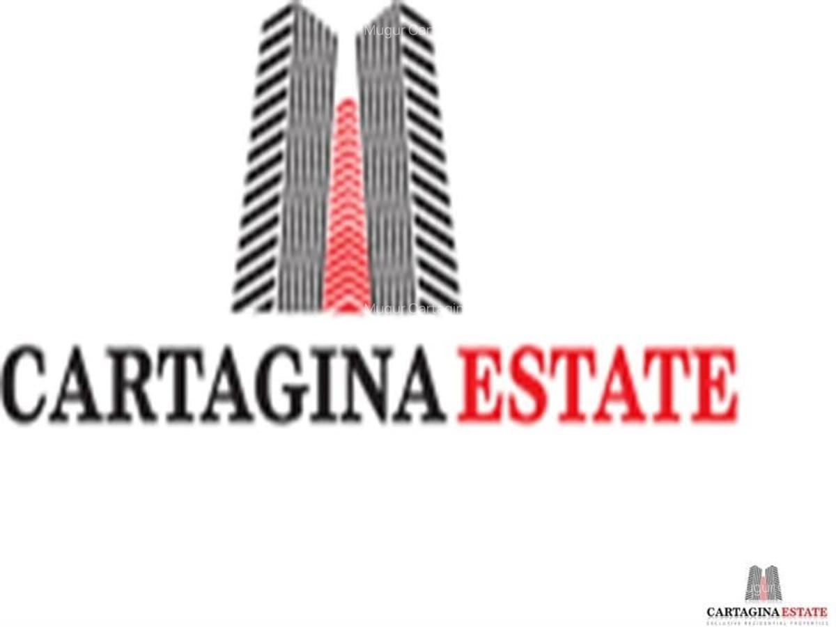 TEREN EXTRAVILAN /  INVESTITIE / OTOPENI / PUTNA - 5000MP - 2