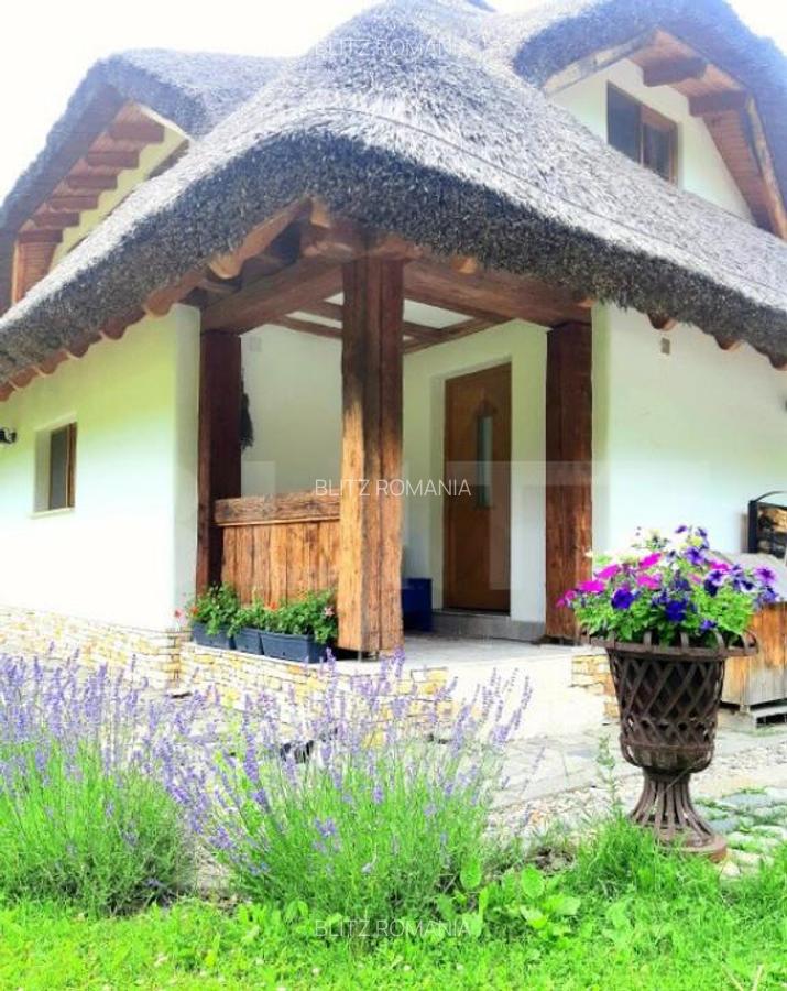 Casa cu design unic, 180 mp utili, 500 mp teren, Salicea - 6