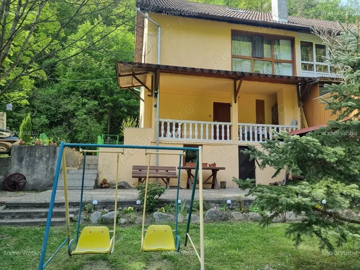 Vila de vanzare in Mun?ii Retezat, pe malul raului - 4