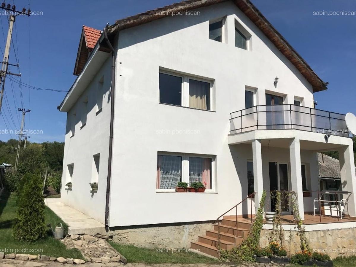 Casa 216mp cu vie si livada, 2500 mp teren – Horodistea, comuna Cotnari, Iasi - 1