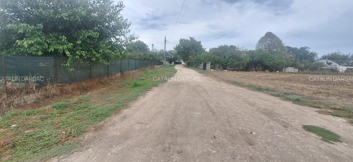 EXCLUSIV! CORBU TEREN LIBER 500 MP D=18 M INTRE CASE APROAPE DE MARE 25.000 EURO - 8 EXCLUSIV! CORBU TEREN LIBER 500 MP D=18 M INTRE CASE APROAPE DE MARE 25.000 EURO - 8