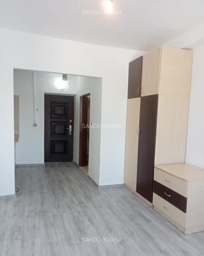 Persoana fizica vand Garsoniera Alexandru la boulevard - 2