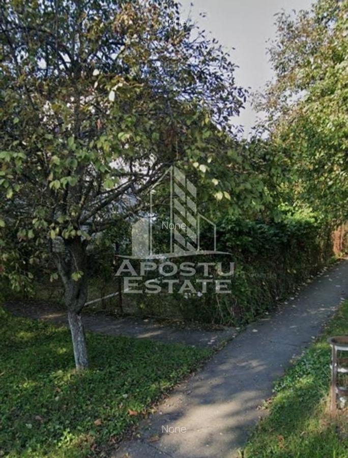 Casă veche în Timișoara  cu teren generos 806 mp - 3