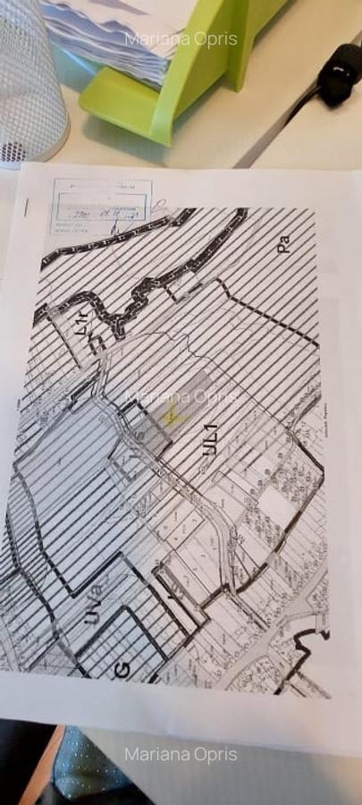 Teren Intravilan 6500mp, spre vanzare in Gusterita - 8