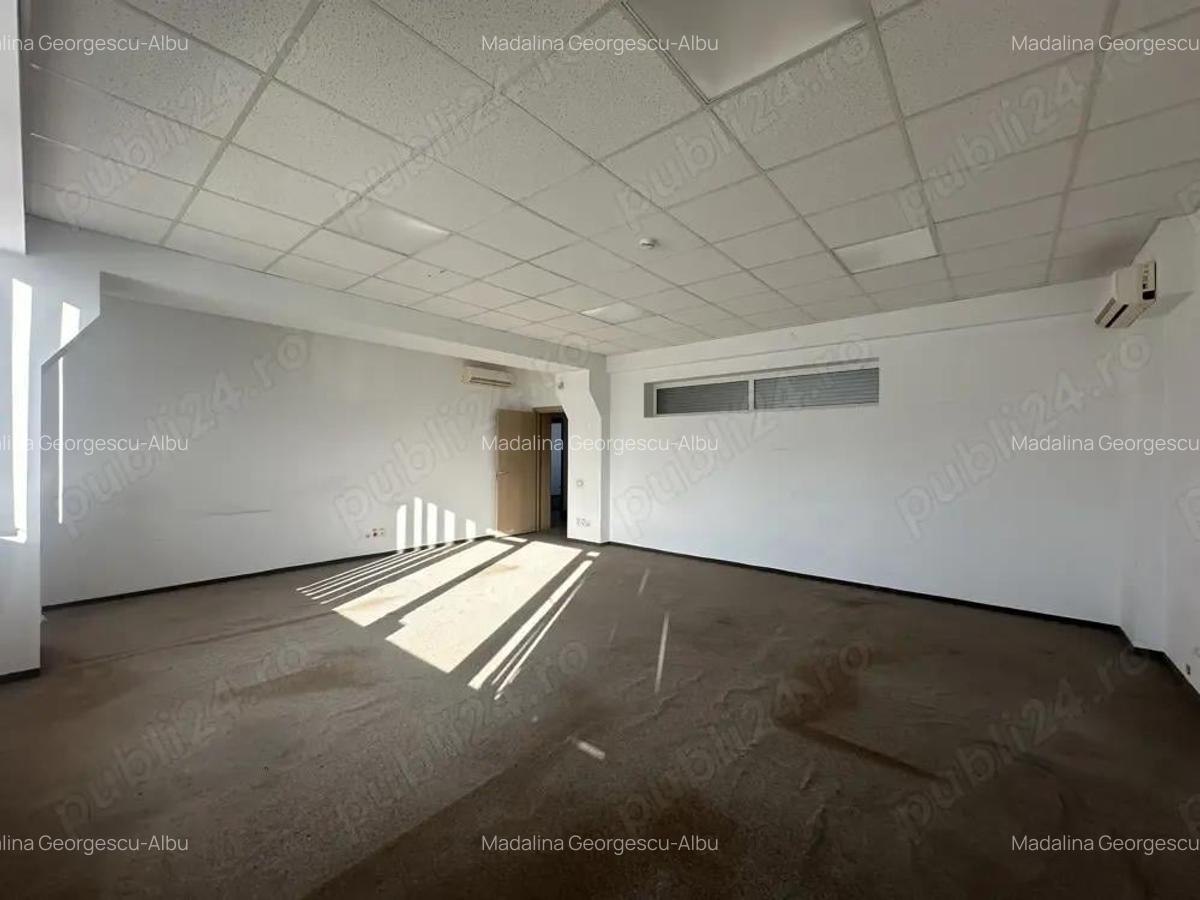 Theodor Pallady stradal birou 410 mp utili LIBER - 7