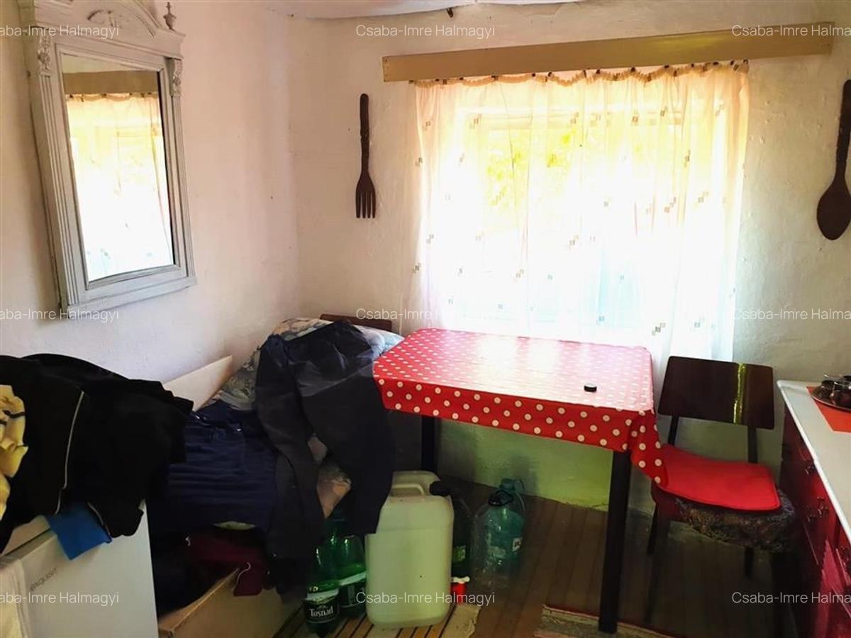 Casă individuală cu 2 camere în Ginta - 9