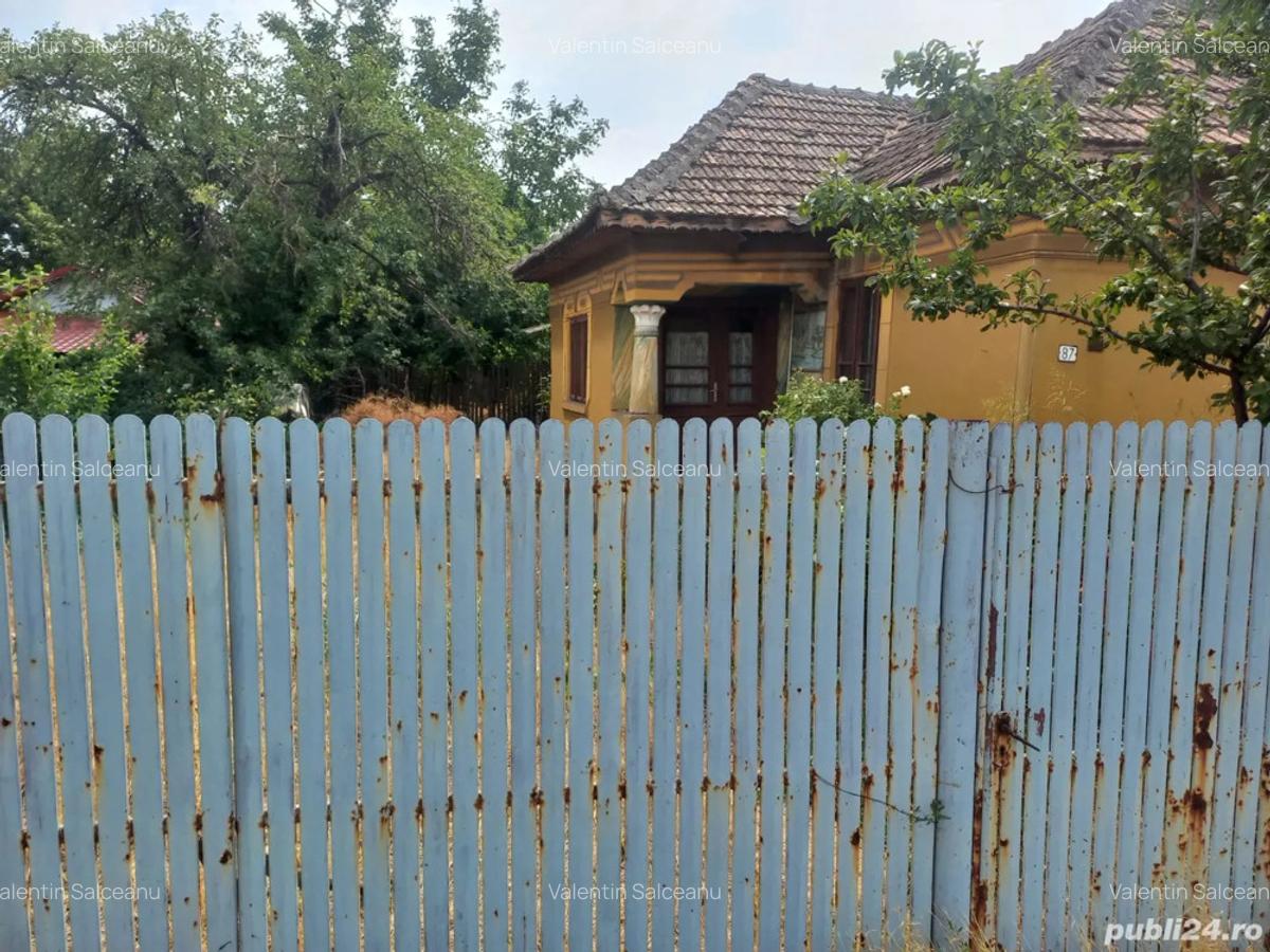 Salceanu Valentin - 1