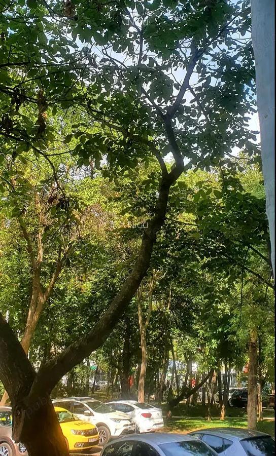 2 camere Drumul Taberei zona Raul Doamnei 25 de secunde distanta de metrou - 1