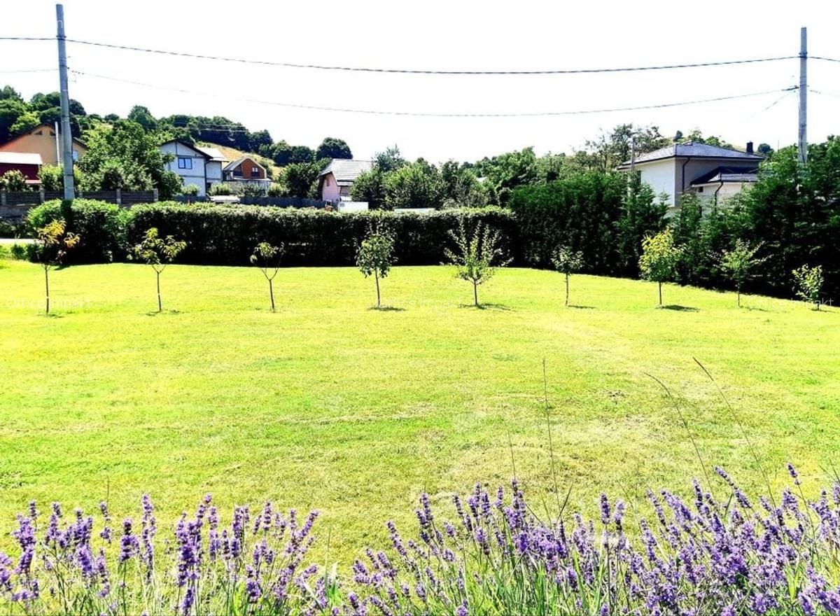 Casa traditionala de vis, aproape de Cluj-Napoca - 20