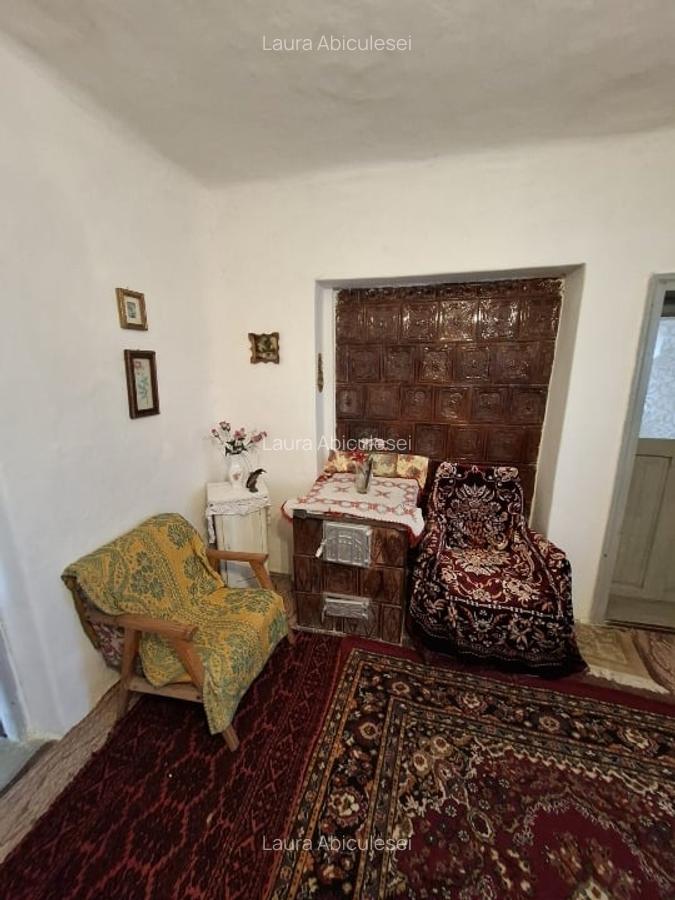 Casa 6 camere, Garaj , Teren 5000 MP - 13