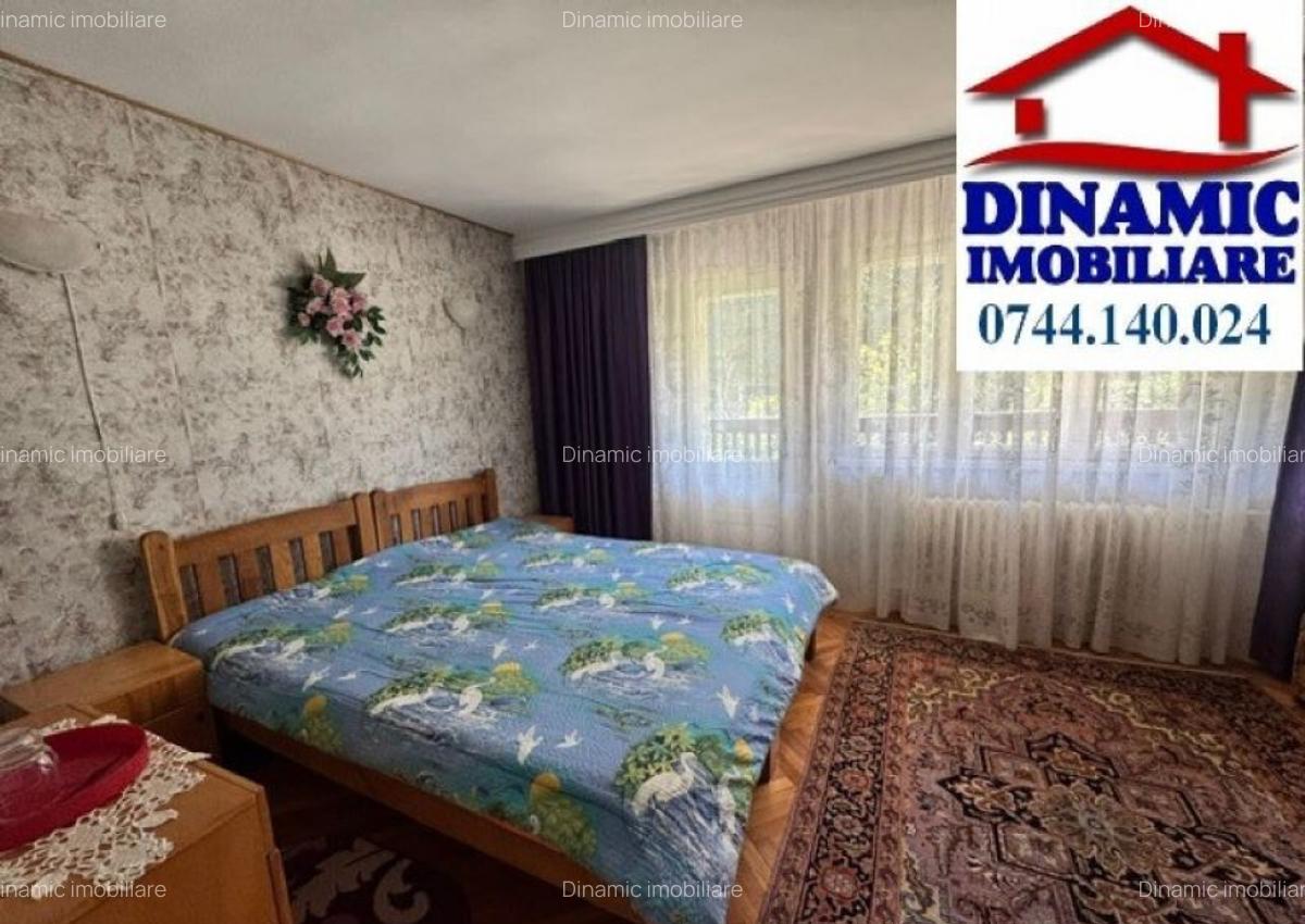 Casa Batca Doamnei + 2500 mp teren, 249 000 EURO - 9