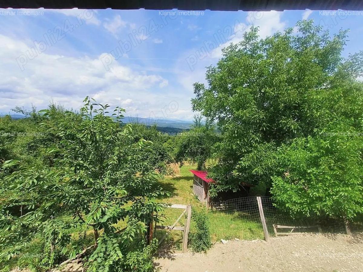 Teren 6926 mp de vanzare in Valea Danului jud Arges - 3