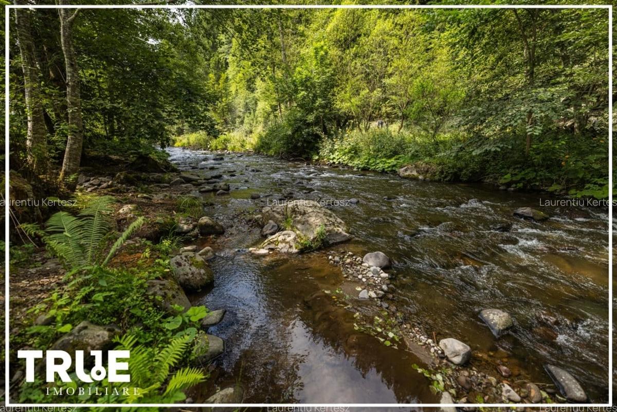 Cabană de vânzare, 95m? utili, teren 1276m?, Sălard! - 9