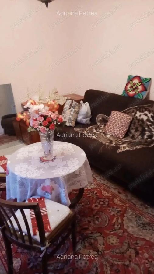 2 camere Bucovina parter centrala proprie - 2