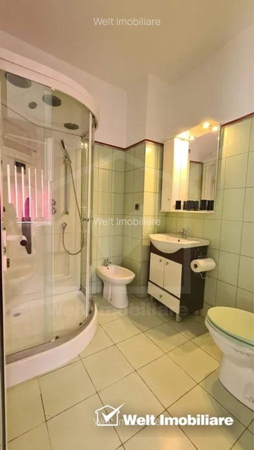 Oportunitate investitie, casa finisata, 2 camere, curte comuna, zona Platinia - 4