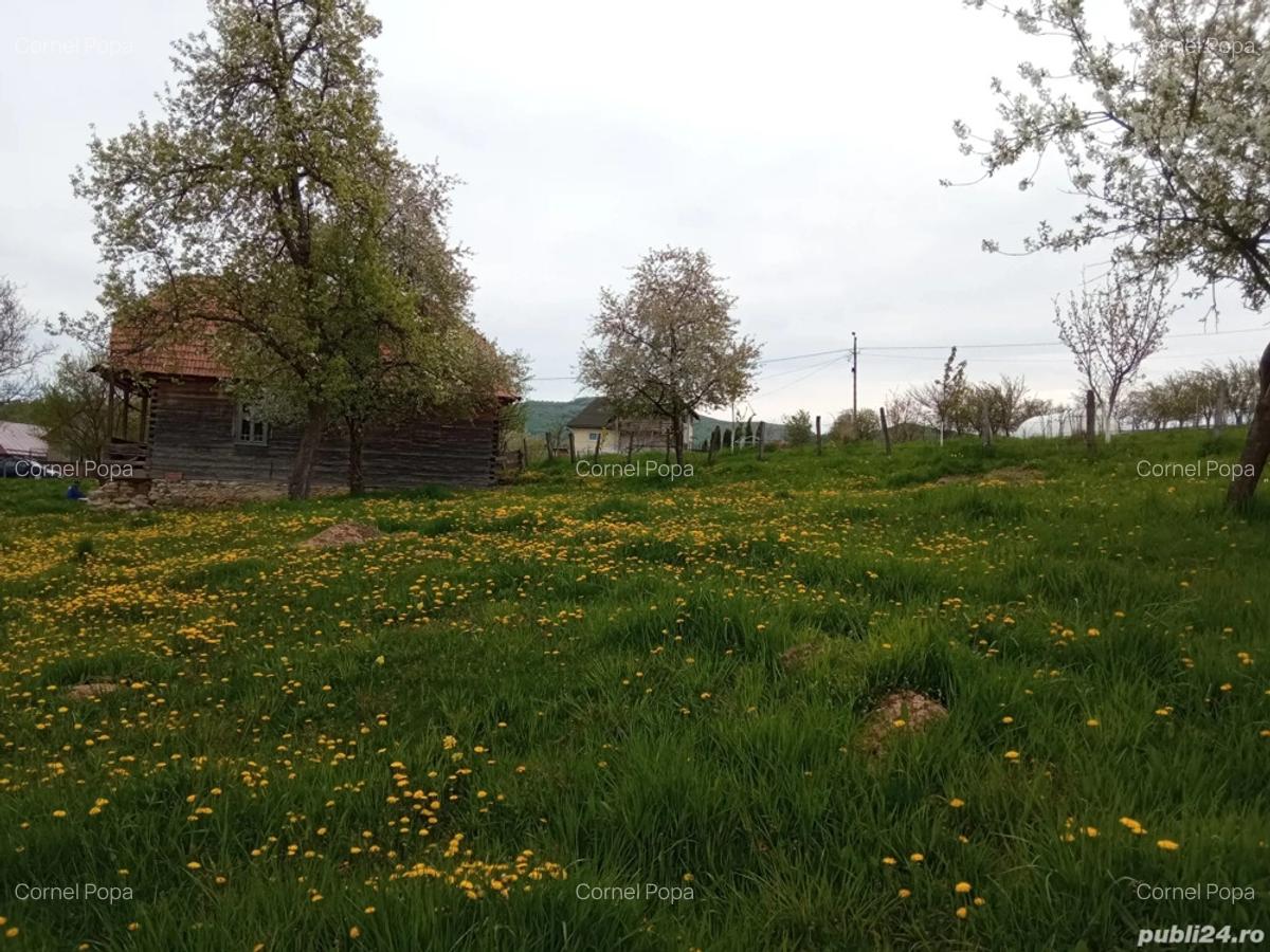 Vand casa cu gradina - 4