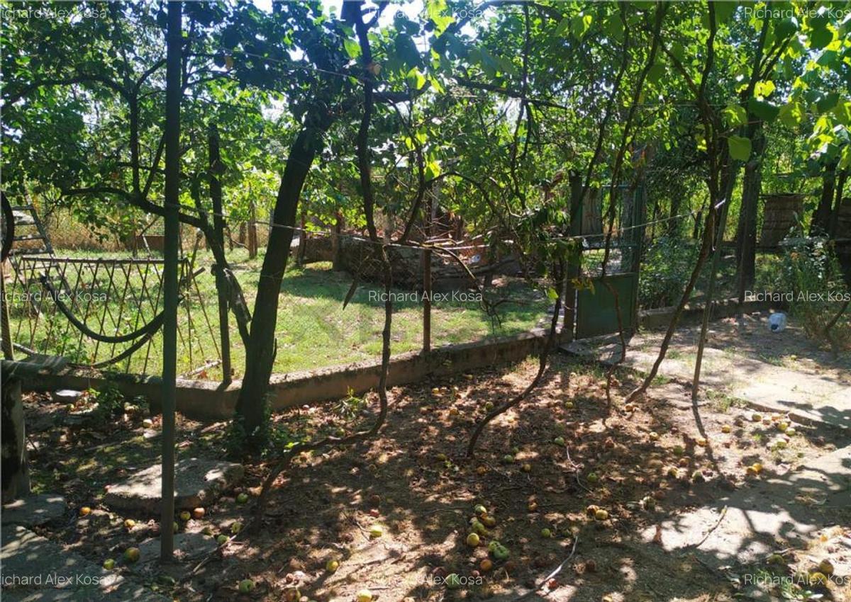 Casa in Talpos, 3 camere - 13