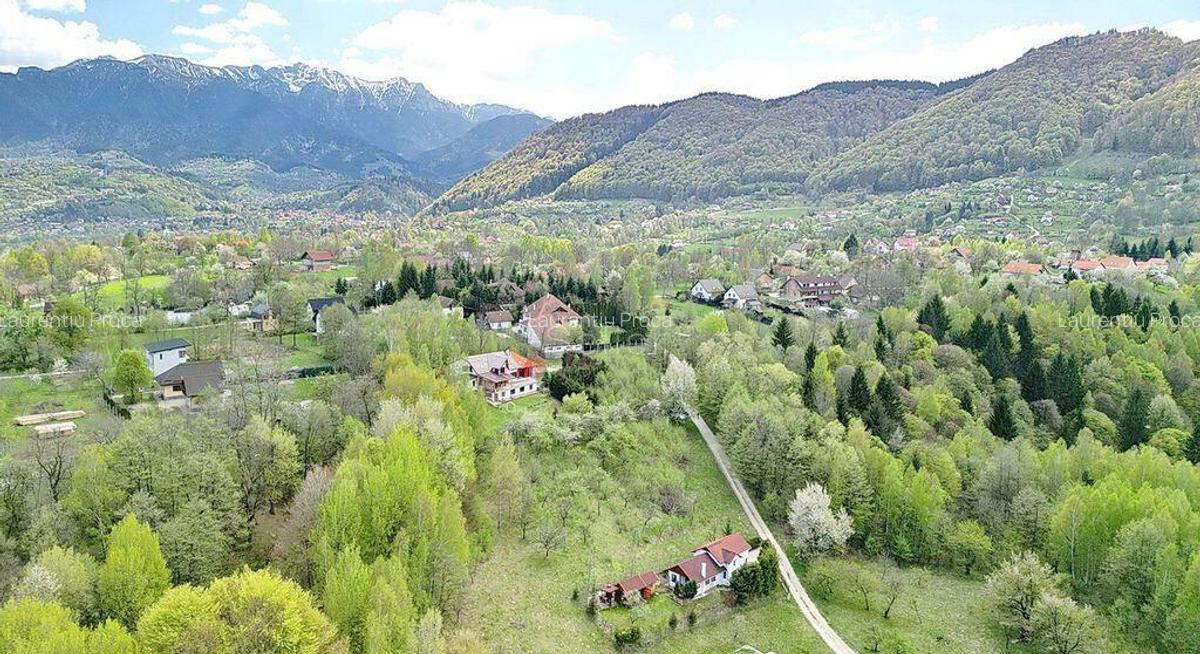 Teren intravilan Bran- Predelut - 13