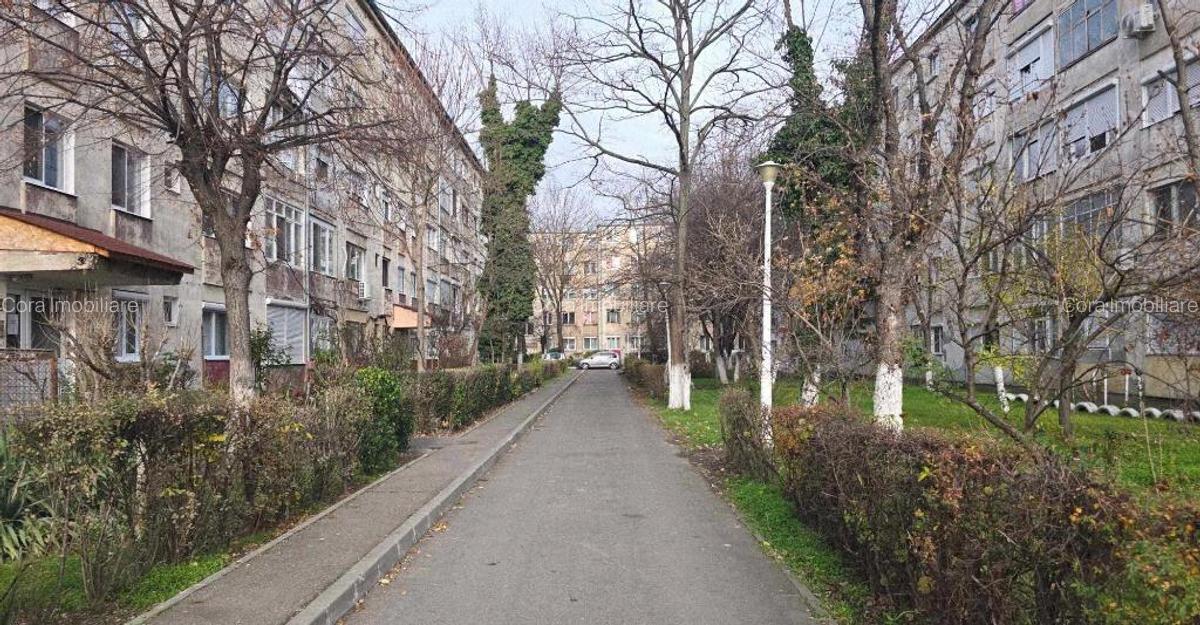 Ap 3 cam tip T de vanzare str Razboieni - 1