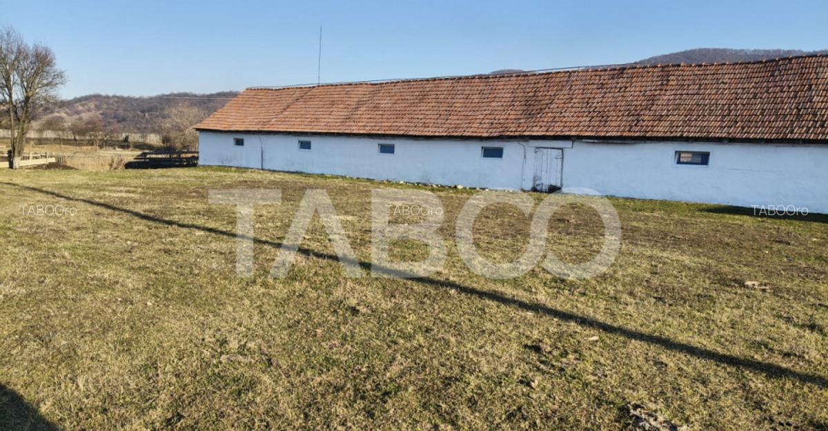 Microferma cu locuinta de vanzare in Pianu de sus - 10