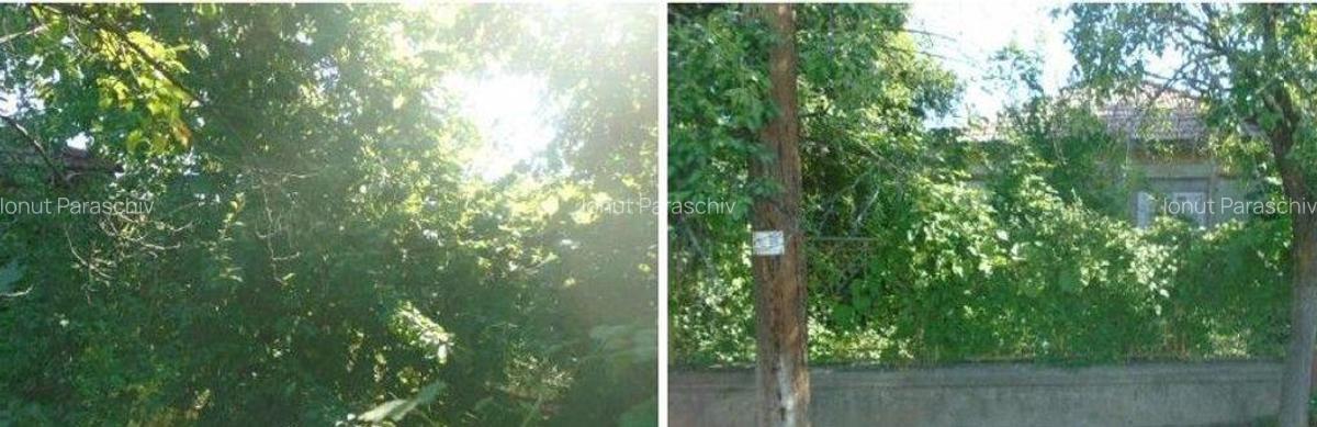 Casa si teren Straoane, cota parte 3/8. ID: R2715611 - 23