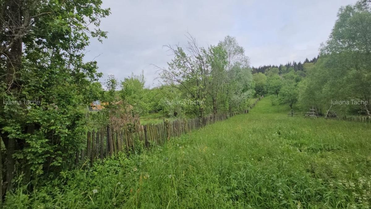 Teren Construcții intravilan de 1660 mp, în Valea Doftanei - 2
