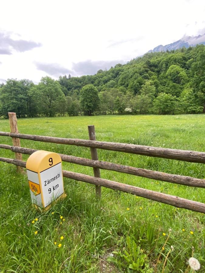 Teren intravilan de vănzare Zărnești – Plaiul Foii peisaj deosebit - 3