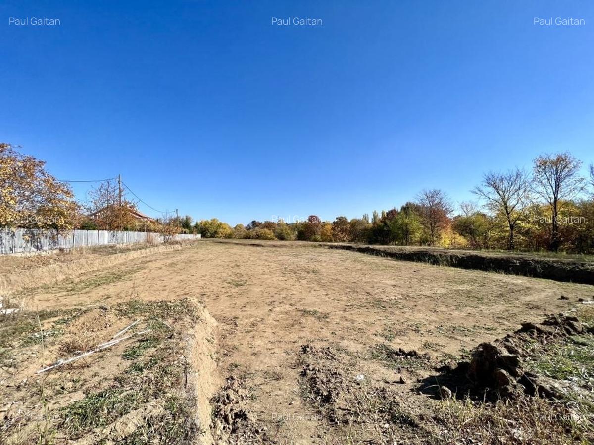 Teren Construcții intravilan de 6000 mp, în Dămăroaia - 10