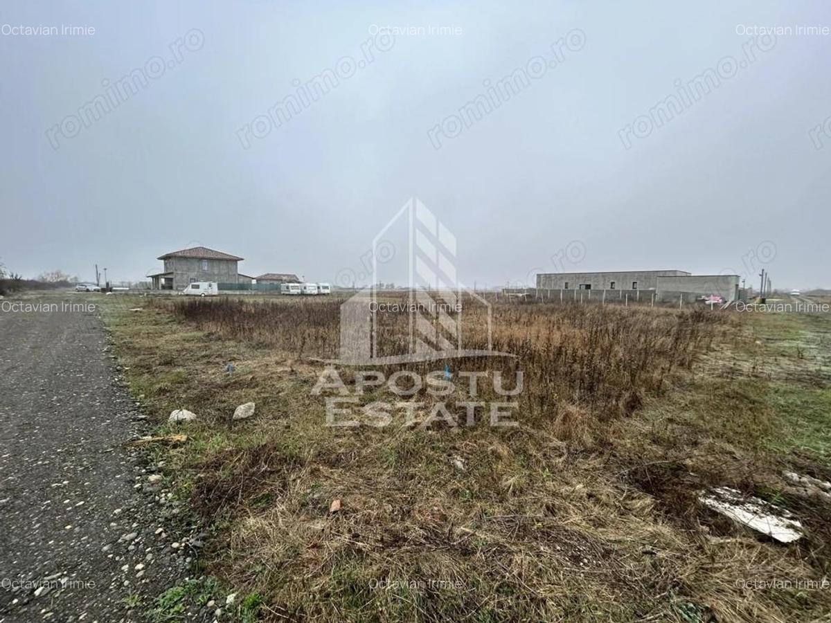 Teren 530 mp, Sacalaz, zona de case noi, zona PUZ Cosma. - 1