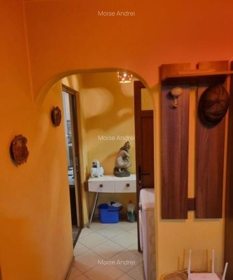 Apartament 2 camere parter plus balcon bloc de 4 etaje reabilitat - 5