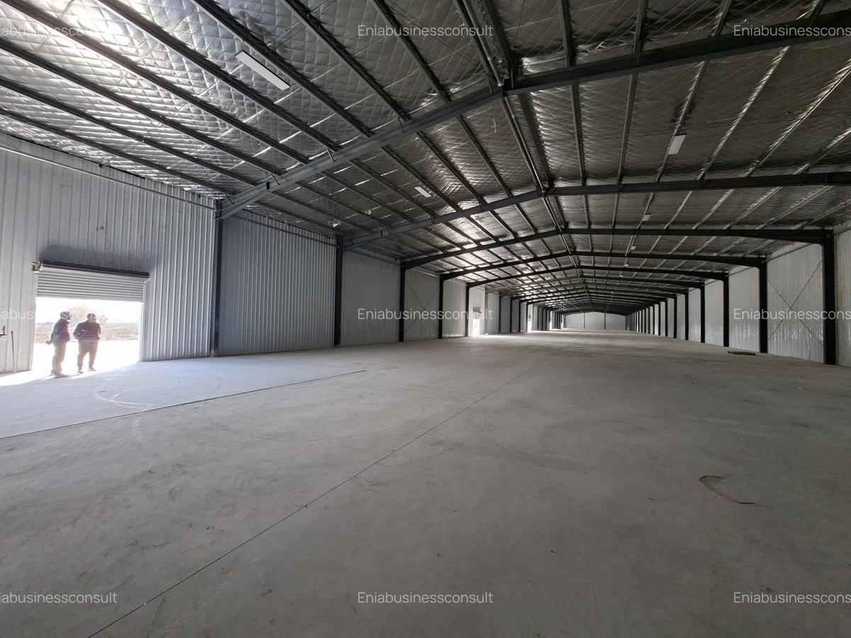 Hala 4200mp cu rampa in Afumati pentru depozitare - 5 Hala 4200mp cu rampa in Afumati pentru depozitare - 5