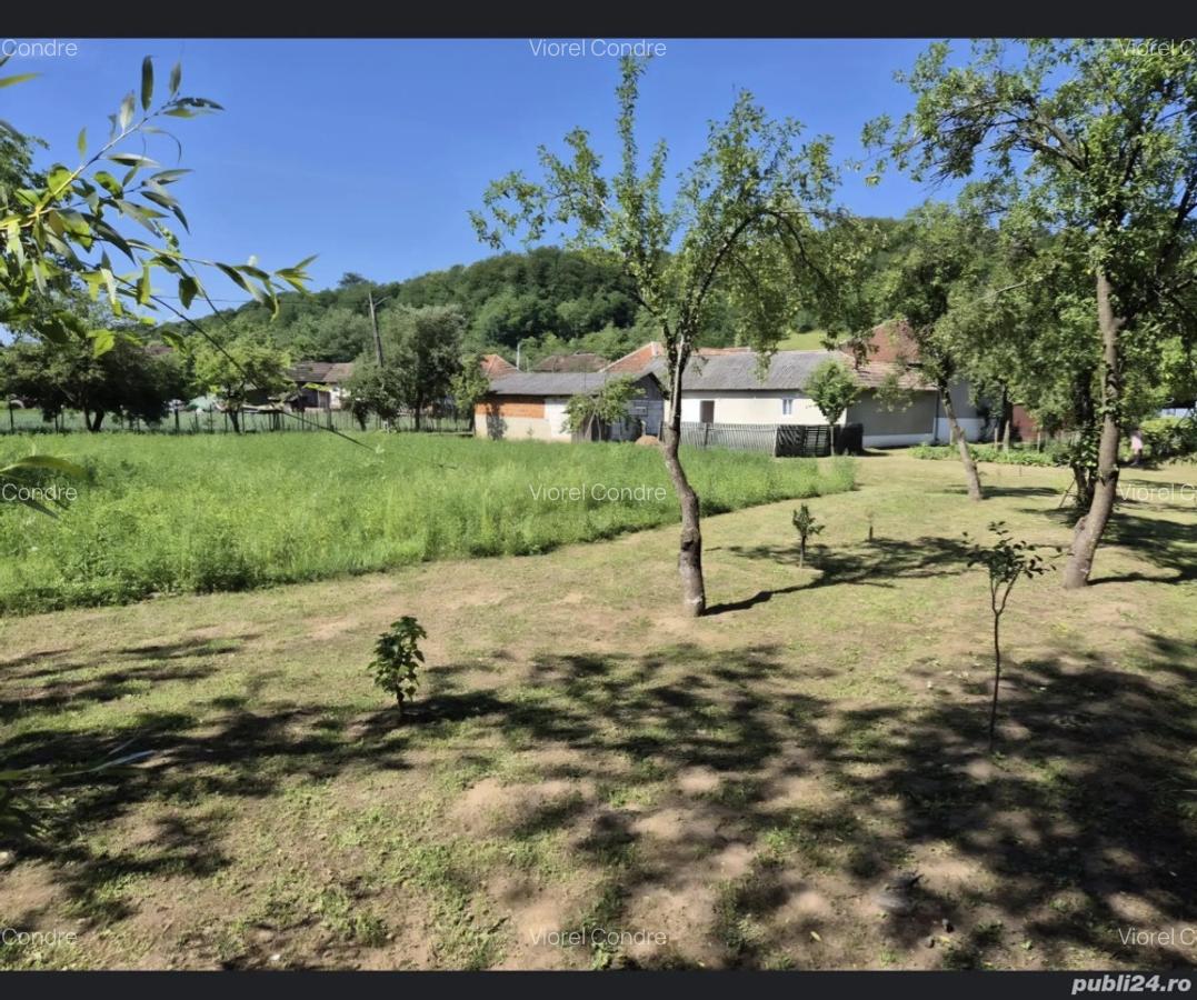 Vind casa in judetul Bihor Luncasprie - 7