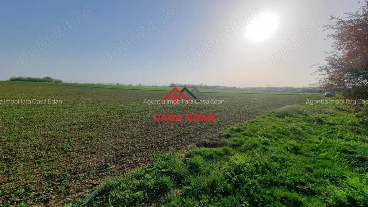 Teren extravilan in Urleta--5000m--18.500e - 4