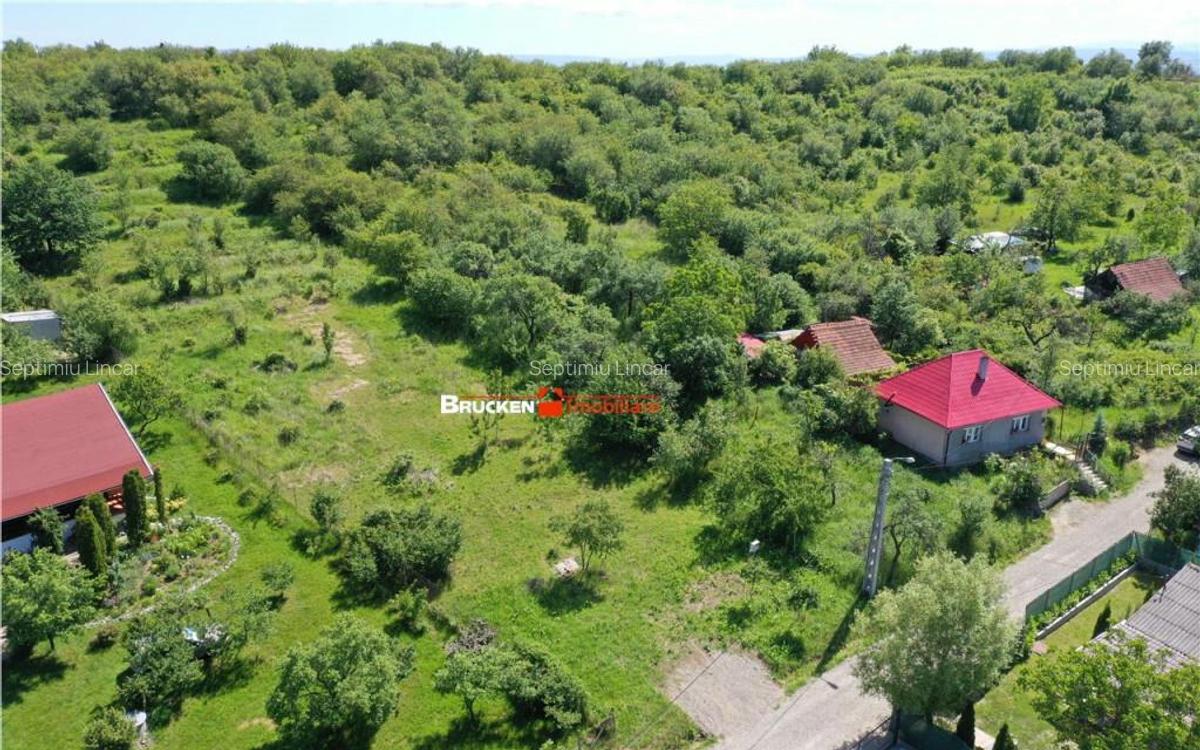TEREN PENTRU CONSTRUCTIE REZIDENTIALA | 2878 MP | PODGORIA - 5