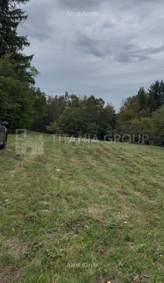 Teren intravilan, cu PUZ, Bran Tohanita, pârâu, pădure și priveliște de vis - 7