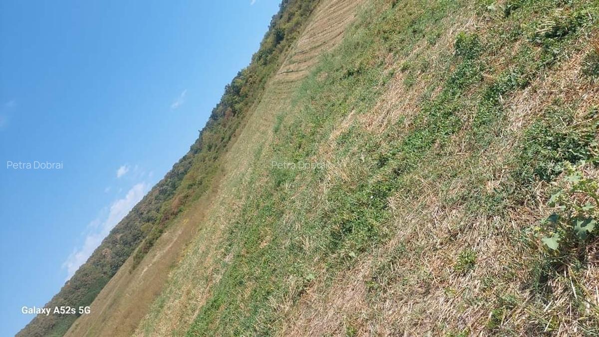 Vand teren intravilan in Panic - 1 Vand teren intravilan in Panic - 1