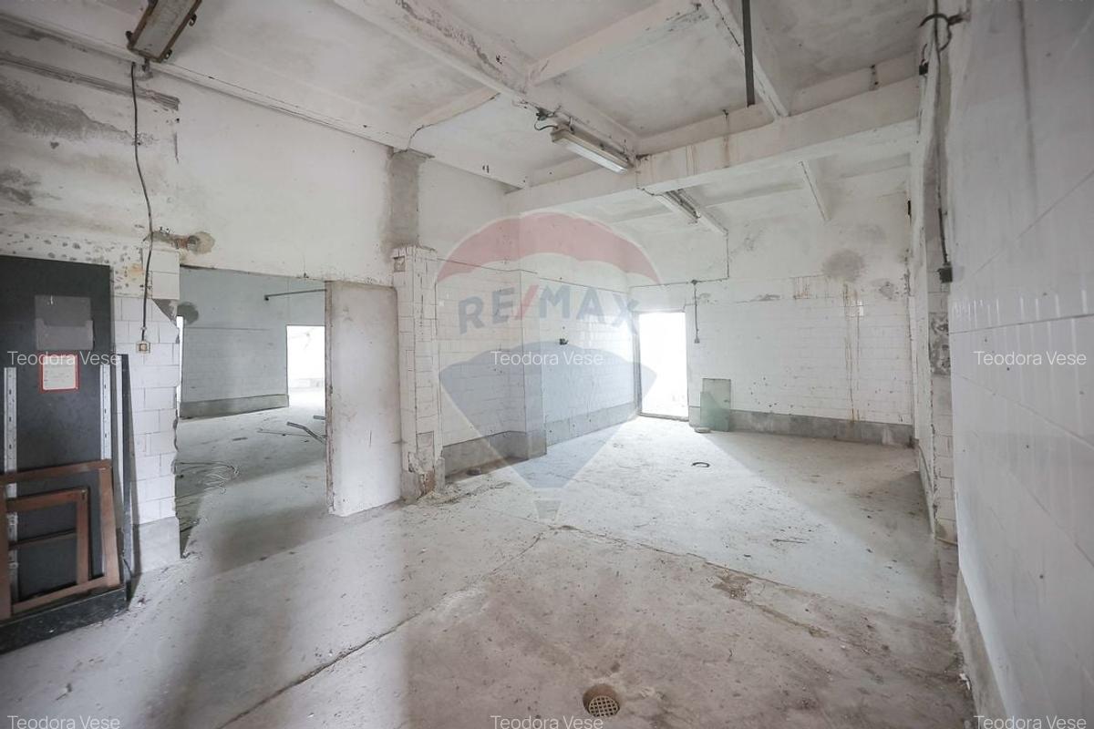 Spațiu industrial, 800 mp în Tilecuș - 3