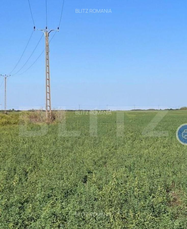 Teren arabil, 25 ha, Giulvaz-Foeni, front stradal 280 ml - 7