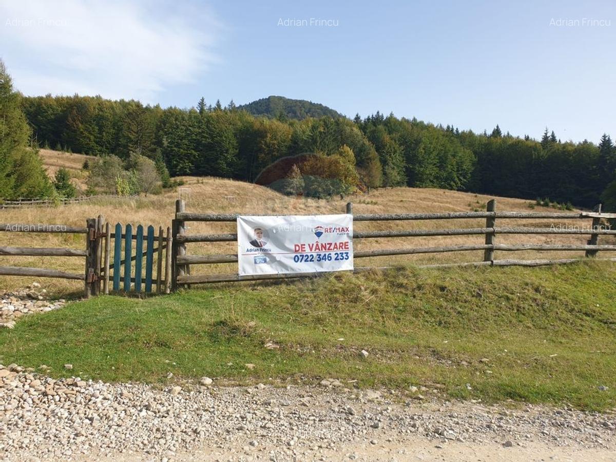 Teren 20000 mp, sat Dalghiu, com Vama Buzaului - 2