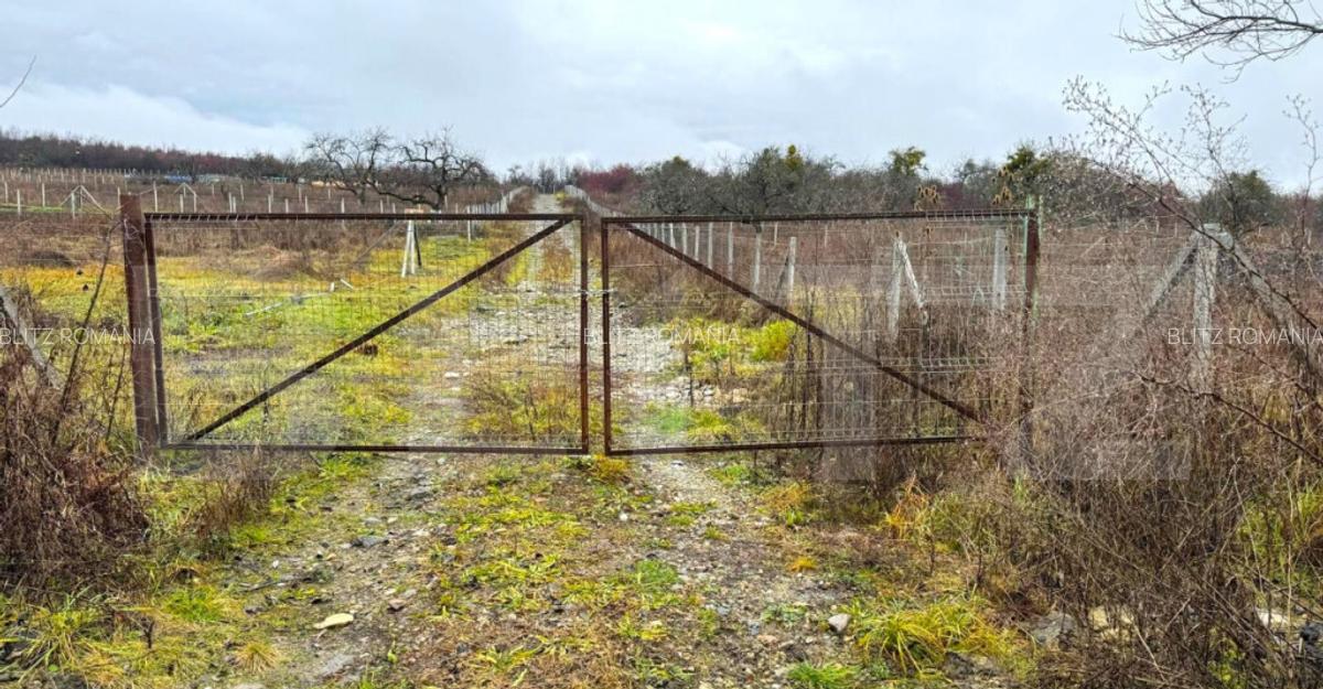 Teren extravilan de vanzare, 1.057 mp, zona Sigmir - 14