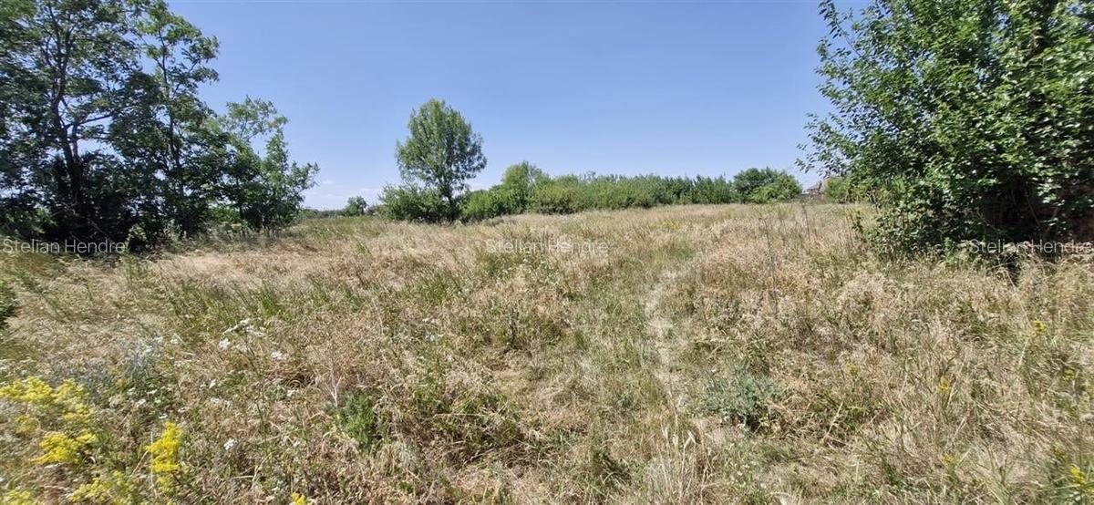 Teren Construcții intravilan de 1420 mp, în Ianoșda - 5